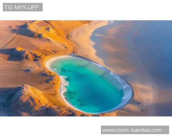 早晨的第一缕阳光照亮未来希望黑暗即将消散迎接崭新篇章 早晨的第一缕阳光照亮未来希望黑暗即将消散迎接崭新篇章